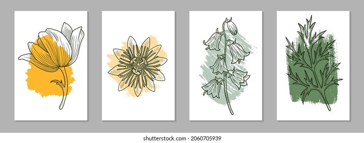 vector line drawing floral posters, abstract minimal natural wall art, hand drawn botanical illustrations for cover design or print
