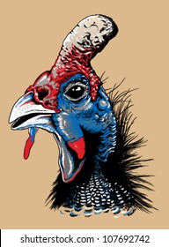 Vector line drawing of a guinea fowl's head in red, blue, white & black.