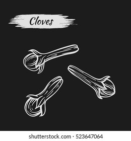 Vector line drawing handmade clove isolated on dark background. sketches of spices