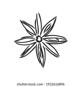 Vector line drawing handmade star anise isolated on white background. sketches of spices