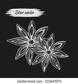 Vector line drawing handmade star anise isolated on dark background. sketches of spices