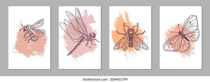 vector line drawing natural posters with insects, butterfly and dragonfly, abstract minimal wall art, hand drawn illustrations for cover design or print