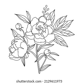 Vector line drawing of peony flowers bouquet. Isolation illustration on a white background. EPS 10