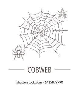 Vector line drawing of spider with cobweb and fly isolated on white background. Black and white cartoon style insect illustration. Bug logo 
