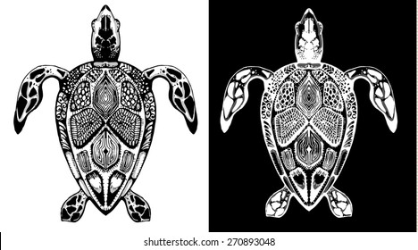 vector line drawing of tortoises in black and white style. set