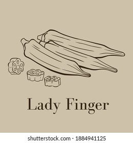 Vector line drawing of vegetable lady finger.