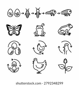 Vector line drawings of different animals and insects in simple black and white style