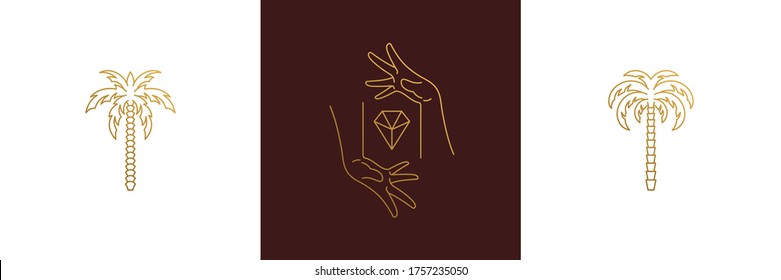 Vector line elegant decoration design elements set -palm trees and female gesture hands illustrations minimal linear style. Collection bohemian delicate outline graphics for logo emblems and branding