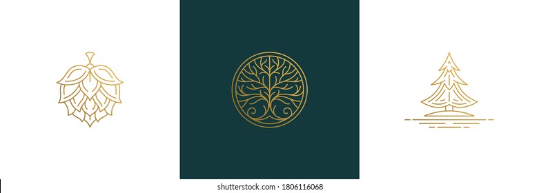 Vector line elegant decoration design elements set - tree and hop illustrations minimal linear style. Collection bohemian delicate outline graphics for logo emblems and product branding