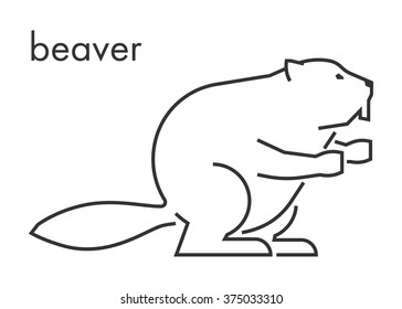 Vector line figure of beaver on a white background. Linear beaver for web and design.