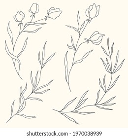 Vector line flower isolated. Element for design. Hand-drawn contour lines and strokes.
