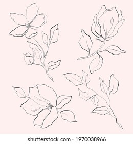 Vector line flower isolated. Element for design. Hand-drawn contour lines and strokes.