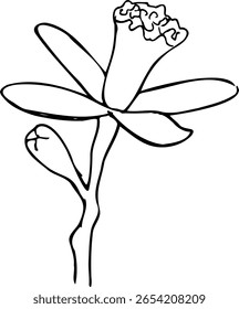Flor de línea de Vector de un árbol de limón aislado. Elemento dibujado a mano para tarjetas de felicitación, impresiones, pegatinas, tazas. La Imagen se crea sin el uso de ningún software de inteligencia artificial en ninguna etapa.