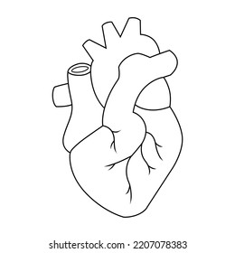 vector line forming heart