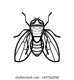 La línea vectorial vuela con los ojos de puja y las alas. Insecto, bicho.