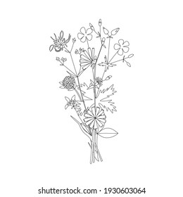 Ilustración dibujada a mano por vectores con un ramo de flores silvestres de verano. Flor minimalista, hierba y plantas medicinales. Para el diseño del logotipo, tatuaje, decoración, postal