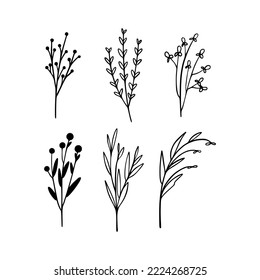 Ilustración dibujada a mano por la línea de vectores con flores silvestres puestas. Colección de flores minimalistas, hierbas y plantas medicinales. Para el diseño del logotipo, tatuaje, postal