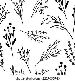Ilustración dibujada a mano en línea de vectores con un patrón sin fisuras de flores silvestres. Colección de flores minimalistas, hierbas y plantas medicinales. Para el diseño del logotipo, tatuaje, postal
