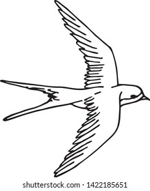 Vector line hand drawn sketch doodle flying swallow isolated on white background 