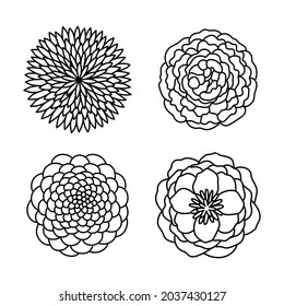 Vector line handdrawn illustration set with stylized decorative Peony flowers. Isolated on white background