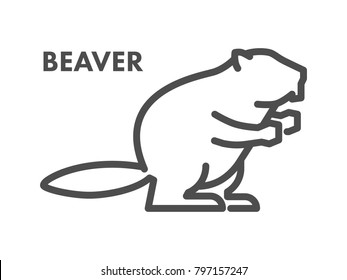 Vector line icon of beaver on white background.