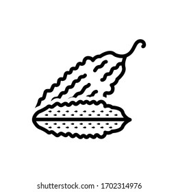 Icono de línea de vector para la calabaza amarga