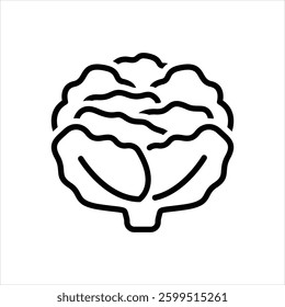 Vector line icon for cabbage