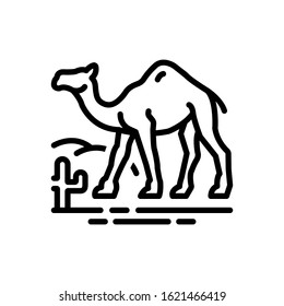 Vector line icon for camel in desert