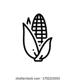 Vector line icon for corn