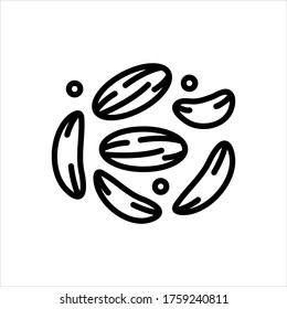 Vector line icon for fennel