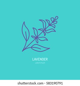 Vector line icon of lavender bunch. Herbal essential oils sign, floral aroma.