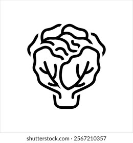 Vector line icon for lettuce