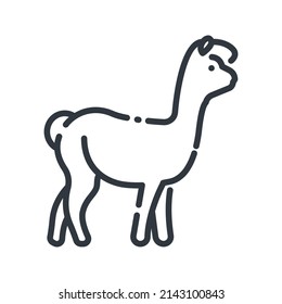 Vector line icon of a llama side view isolated on transparent background.