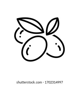 Vector line icon for olives