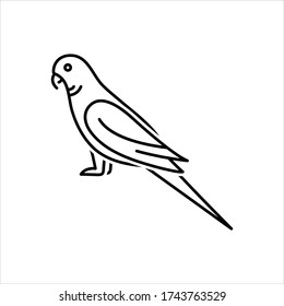 Vector line icon for parrot