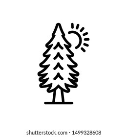 Vector line icon for pine trees