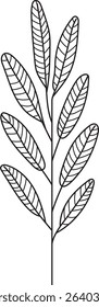 A vector line icon of a sage plant. Garden herb. Branch with leaves.