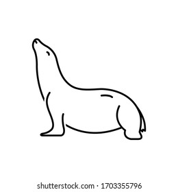 Vector line icon for sea lion
