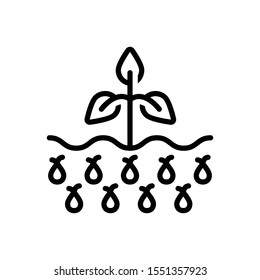 Vector line icon for seed