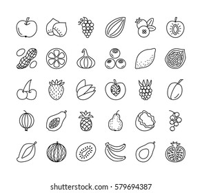 Vector line icon set. Fruits, berries and nuts. Healthy vegan & vegetarian food. Fruitarian diet. Apple, orange, lemon, walnut, hazelnut, avocado, strawberry, raspberry. Isolated on white background.