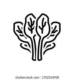 Vector line icon for spinach
