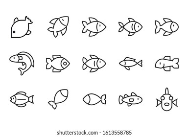 Vector line icons collection of fish. Vector outline pictograms isolated on a white background. Line icons collection for web apps and mobile concept. Premium quality symbols