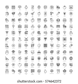 Vector line icons with vegetables, garden tools, trees, shrubs and house plants. Garden center elements. Roses, seeds, berries, grasses, herbs, lawn, rockery, conifer, fruit trees. 