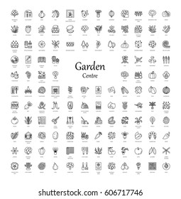 Vector line icons with vegetables, garden tools, trees, shrubs and house plants. Garden centre elements. Indoor and outdoor plants. Rose, seed, berry, grass, herb, lawn, rockery, conifer, fruit tree. 