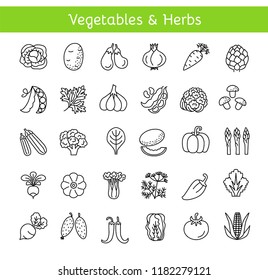 Vector line icons with vegetables and herbs. Healthy lifestyle. Vegan & vegetarian food. Different kinds of veggies. Isolated objects on white background.