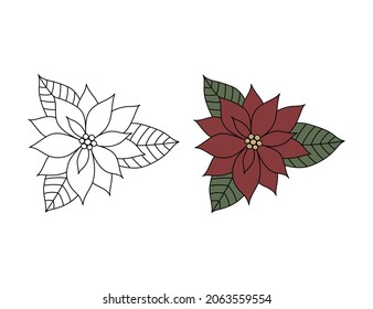 Vektorgrafik der Rotblume von Weihnachten mit Blättern. Handgezeichnet Poinsettia einzeln auf weißem Hintergrund. 