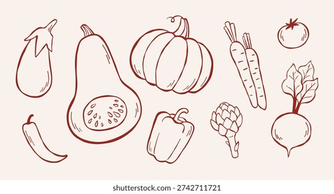 Vector line illustration of eggplant, pumpkins, chili pepper, bell pepper, carrots, tomato, artichoke, beetroot. Collection of different vegetables, sketch clip art for coloring book, logo design. 