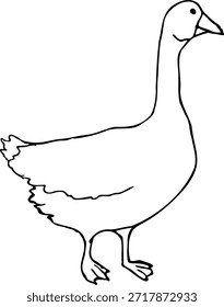 Ilustración de línea de Vector de un ganso aislado sobre un fondo blanco.