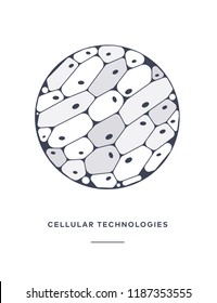 Vector Line Illustration Of Human Cell Tissue Icon 