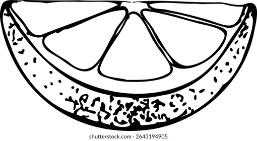 Ilustração em linha de vetor de fatia de limão isolada em um fundo branco.
